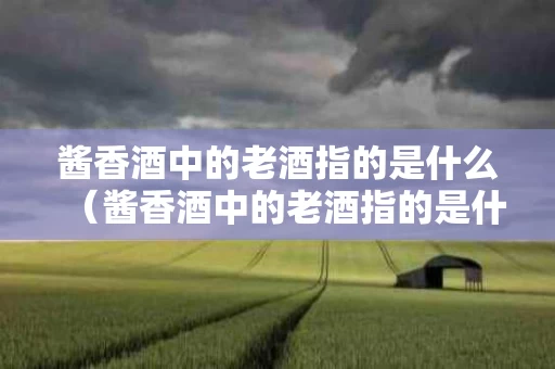 酱香酒中的老酒指的是什么（酱香酒中的老酒指的是什么呢）