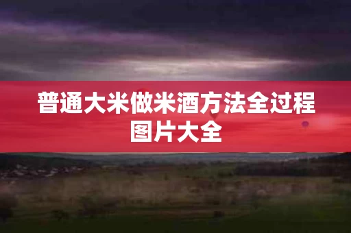 普通大米做米酒方法全过程图片大全