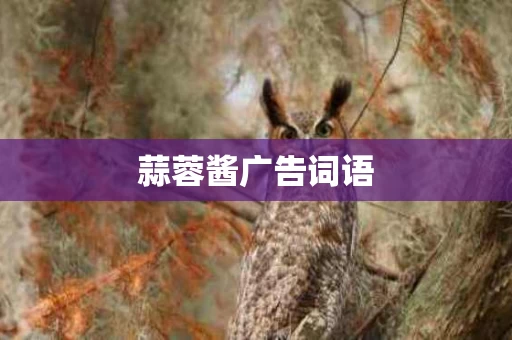蒜蓉酱广告词语