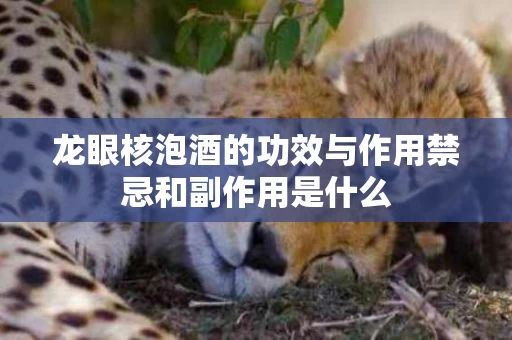 龙眼核泡酒的功效与作用禁忌和副作用是什么