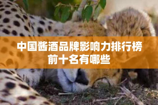 中国酱酒品牌影响力排行榜前十名有哪些