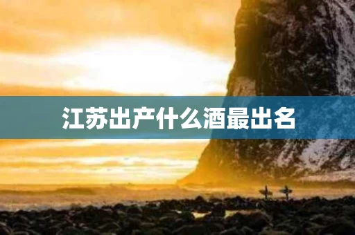 江苏出产什么酒最出名