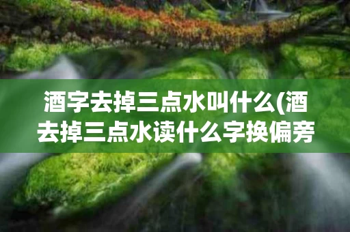 酒字去掉三点水叫什么(酒去掉三点水读什么字换偏旁)