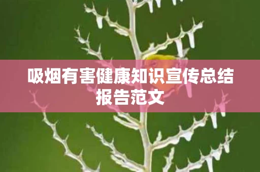 吸烟有害健康知识宣传总结报告范文