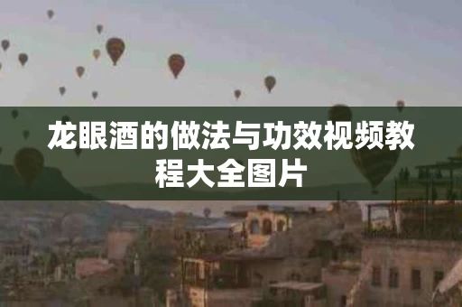 龙眼酒的做法与功效视频教程大全图片