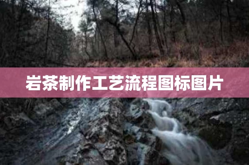 岩茶制作工艺流程图标图片
