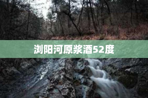 浏阳河原浆酒52度