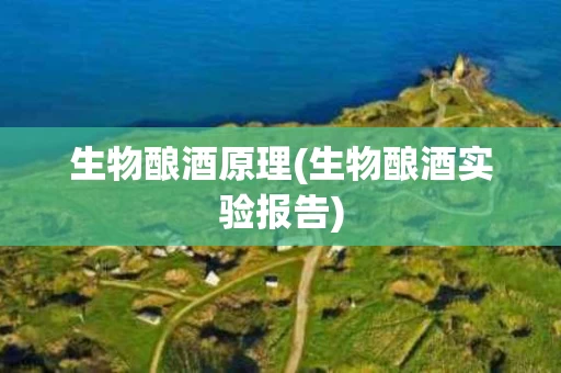 生物酿酒原理(生物酿酒实验报告)