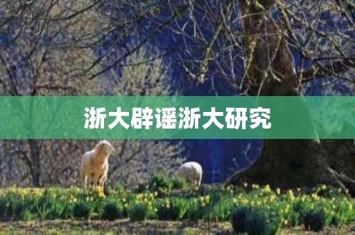 浙大辟谣浙大研究