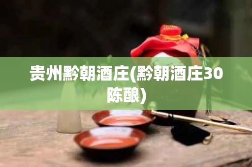 贵州黔朝酒庄(黔朝酒庄30陈酿)