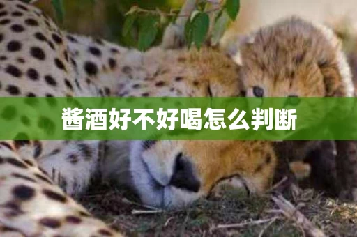 酱酒好不好喝怎么判断