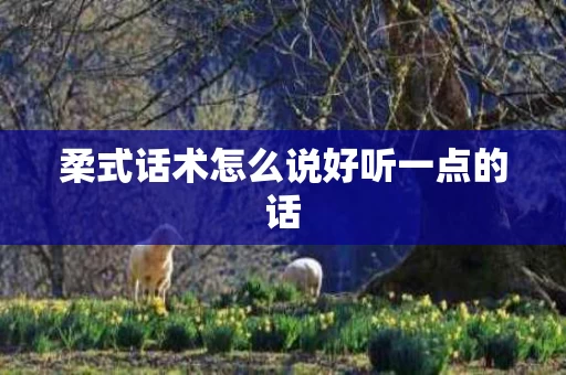 柔式话术怎么说好听一点的话