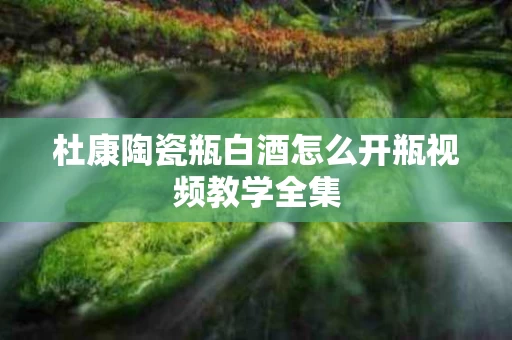 杜康陶瓷瓶白酒怎么开瓶视频教学全集
