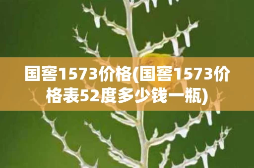 国窖1573价格(国窖1573价格表52度多少钱一瓶)