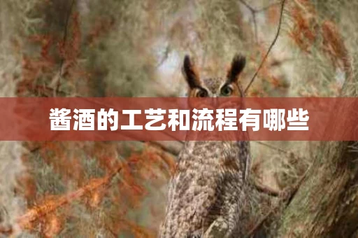 酱酒的工艺和流程有哪些