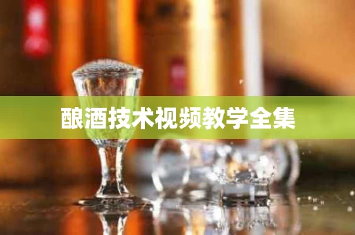 酿酒技术视频教学全集