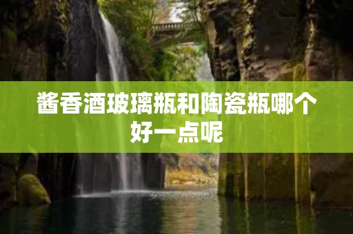 酱香酒玻璃瓶和陶瓷瓶哪个好一点呢