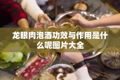 龙眼肉泡酒功效与作用是什么呢图片大全