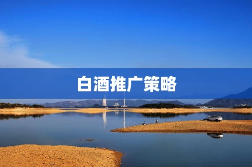 白酒推广策略