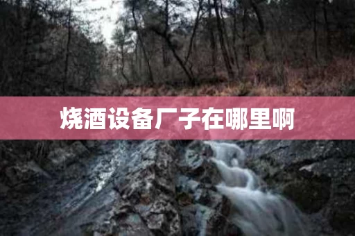 烧酒设备厂子在哪里啊