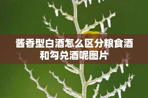 酱香型白酒怎么区分粮食酒和勾兑酒呢图片