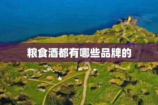 粮食酒都有哪些品牌的