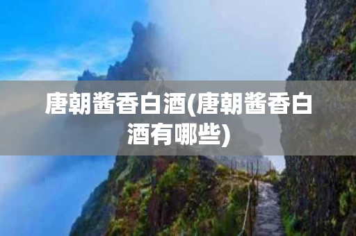 唐朝酱香白酒(唐朝酱香白酒有哪些)
