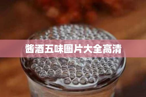 酱酒五味图片大全高清