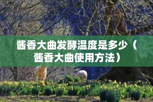 酱香大曲发酵温度是多少（酱香大曲使用方法）