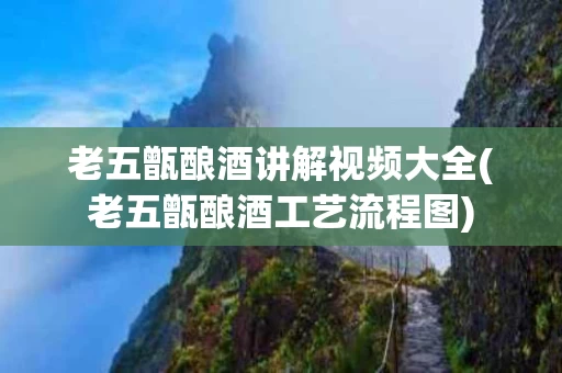 老五甑酿酒讲解视频大全(老五甑酿酒工艺流程图)