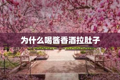 为什么喝酱香酒拉肚子