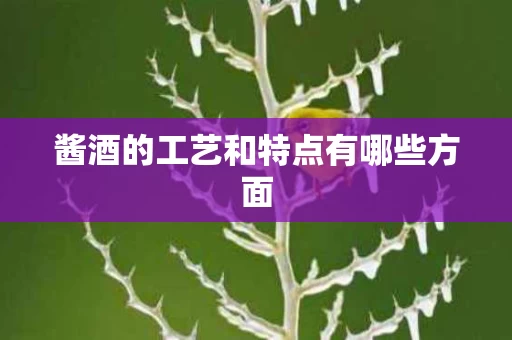 酱酒的工艺和特点有哪些方面