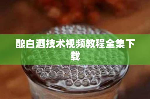 酿白酒技术视频教程全集下载