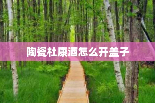 陶瓷杜康酒怎么开盖子