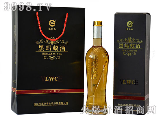 黑蚂蚁泡酒风湿的好帮手