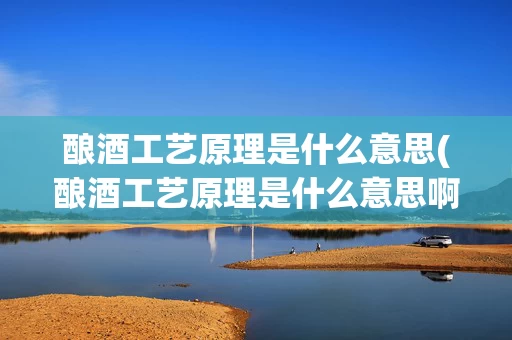 酿酒工艺原理是什么意思(酿酒工艺原理是什么意思啊)