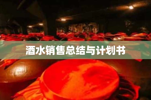 酒水销售总结与计划书