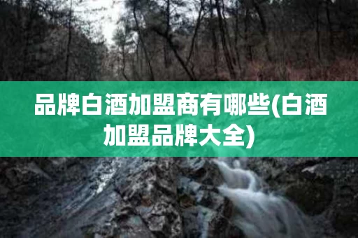 品牌白酒加盟商有哪些(白酒加盟品牌大全)
