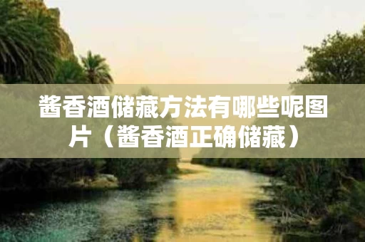 酱香酒储藏方法有哪些呢图片（酱香酒正确储藏）