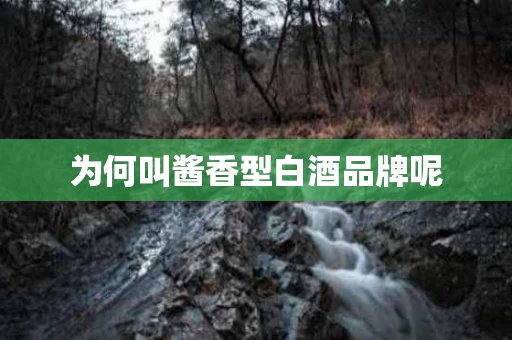 为何叫酱香型白酒品牌呢