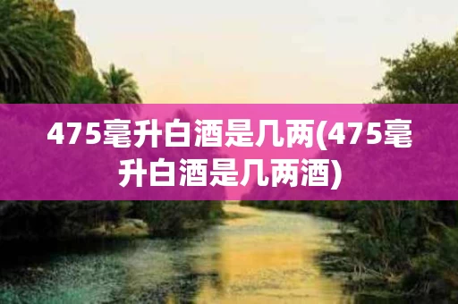 475毫升白酒是几两(475毫升白酒是几两酒)