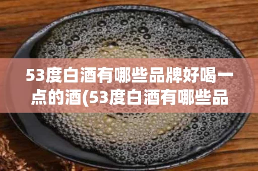 53度白酒有哪些品牌好喝一点的酒(53度白酒有哪些品牌好喝一点的酒呢)