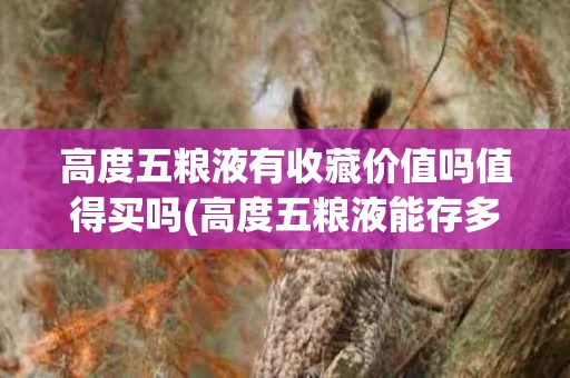 高度五粮液有收藏价值吗值得买吗(高度五粮液能存多少年)