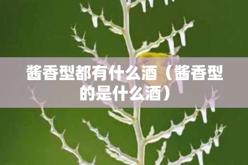酱香型都有什么酒（酱香型的是什么酒）