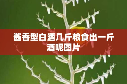 酱香型白酒几斤粮食出一斤酒呢图片