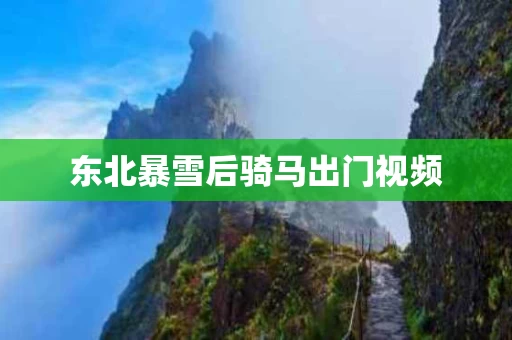 东北暴雪后骑马出门视频