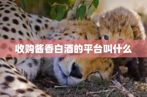 收购酱香白酒的平台叫什么