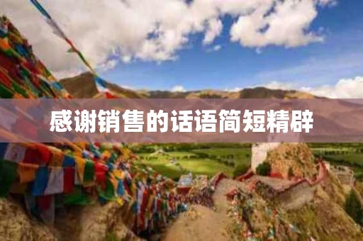 感谢销售的话语简短精辟