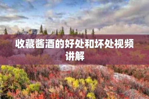 收藏酱酒的好处和坏处视频讲解