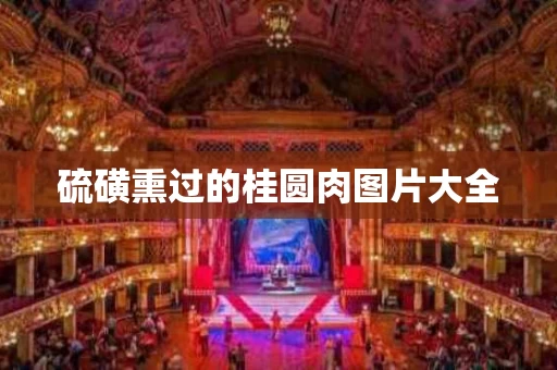 硫磺熏过的桂圆肉图片大全